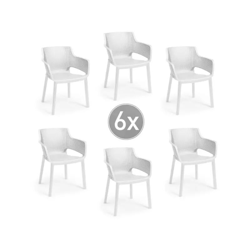 foto del prodotto set da 6 pezzi sedia da esterno keter elisa in polipropilene colore bianco, 57,7x62,5x79 cm
