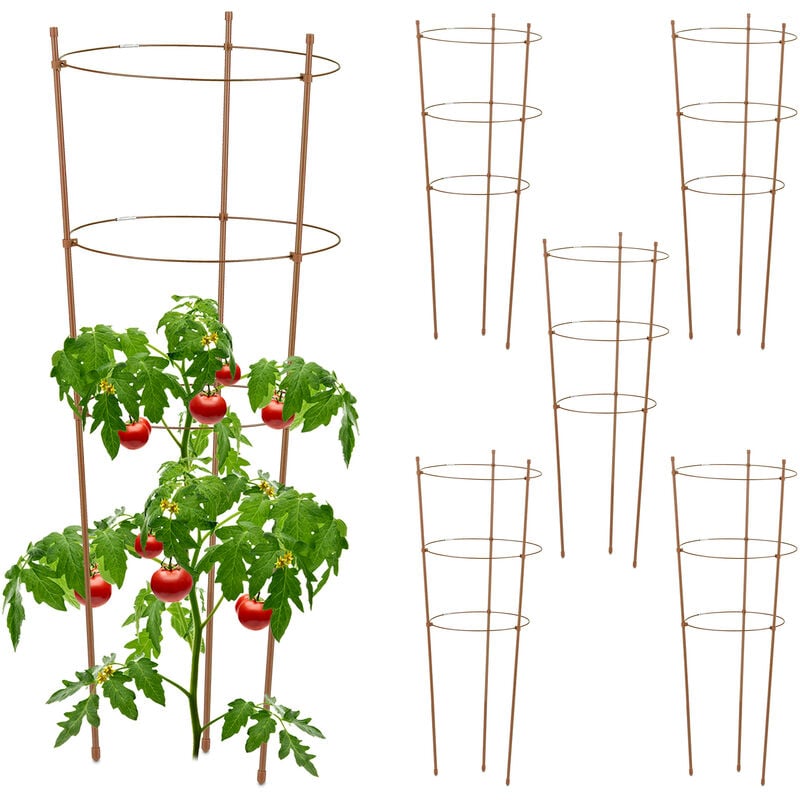 foto del prodotto set da 6 sostegni circolari per pomodori, piante rampicanti, cetrioli, alti 76 cm, 3 anelli, metallo, marrone relaxdays