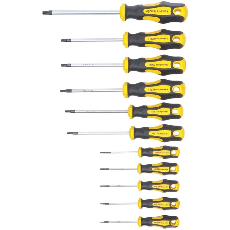 foto del prodotto set di 11 cacciaviti torx t6 t7 t8 t9 t10 t15 t20 t25 t27 t30 t40 bgs