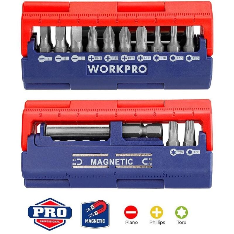 foto del prodotto set di 13 punte per cacciavite workpro sistema metrico