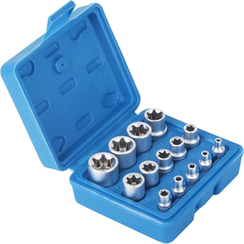 foto del prodotto set di 14 bussole torx femmina e star e4 e24 con dado esagonale esterno sollbry
