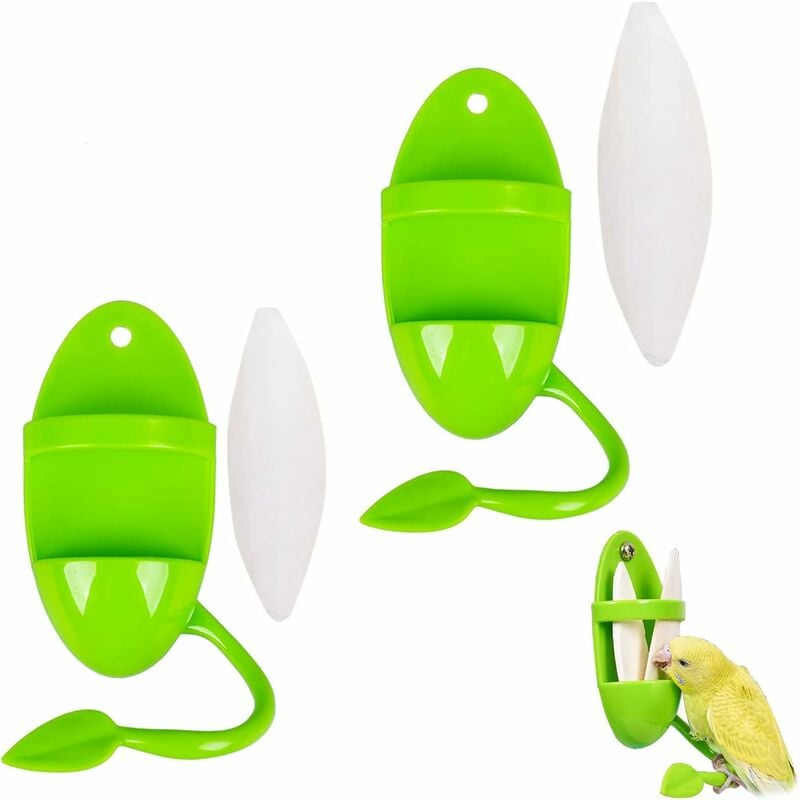 foto del prodotto set di 2 ossi di seppia grandi con supporto per uccelli, calopsi, tartarughe, lumache - verde