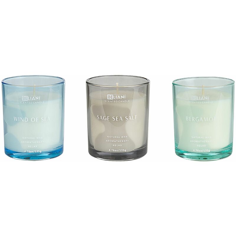 foto del prodotto set di 3 candele profumate 100 cera di soia stoppino di cotone vetro fragranza naturale fresca bergamotto vento di mare salvia sale marino sheer joy