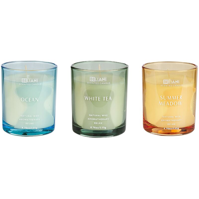 foto del prodotto set di 3 candele profumate 100 cera di soia stoppino di cotone vetro fragranza naturale fresca fragranza fresca oceano, t bianco, prato estivo