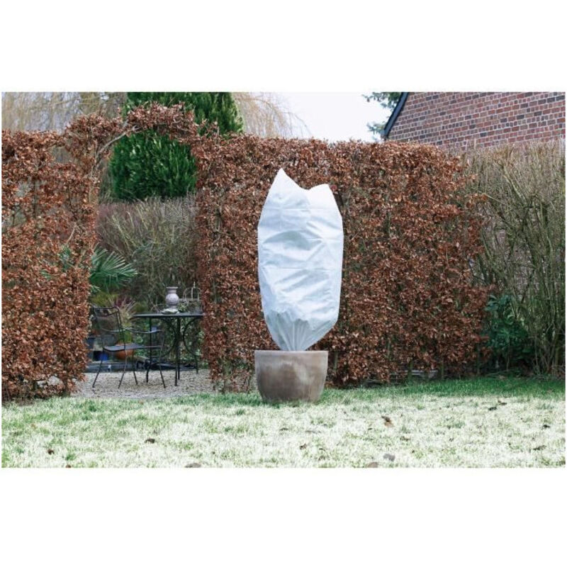 foto del prodotto set di 3 coperture invernali 50 g m 50 cm x 1 m bianco nature