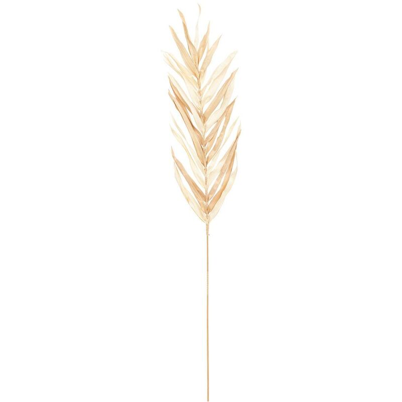 foto del prodotto set di 3 steli di palma ova h95cm beige atmosphera cr ateur d int rieur