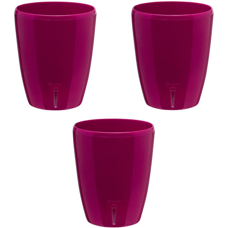 foto del prodotto set di 3 vasi per orchidee con riserva d acqua orchidea porpora 2 litri