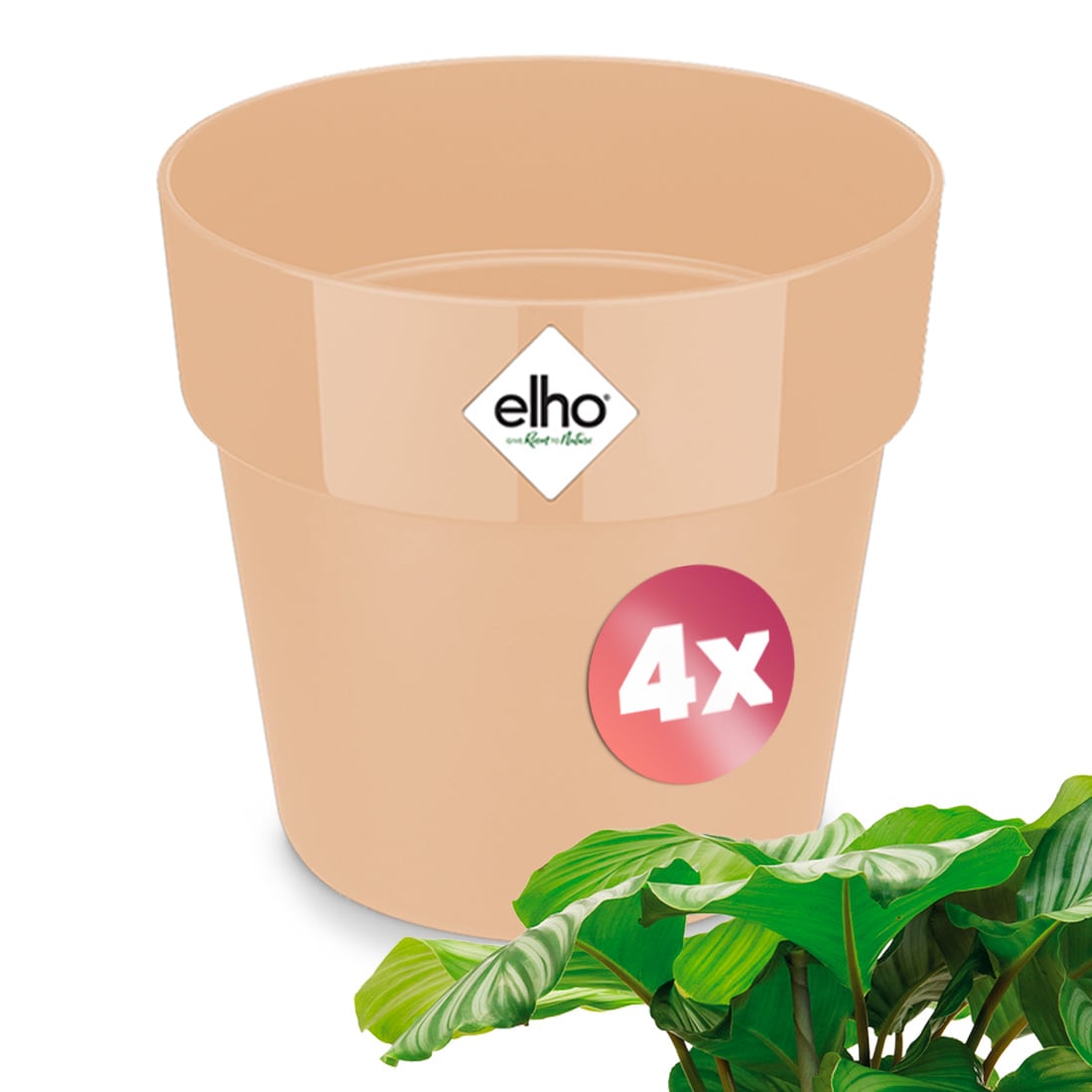 foto del prodotto set di 4 vasi da fiori peach 14x13cm 1,3l