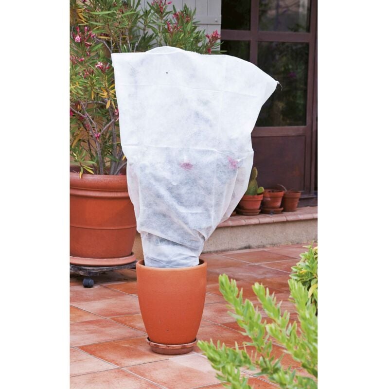foto del prodotto set di 5 coperture per piante werka pro 80x100cm