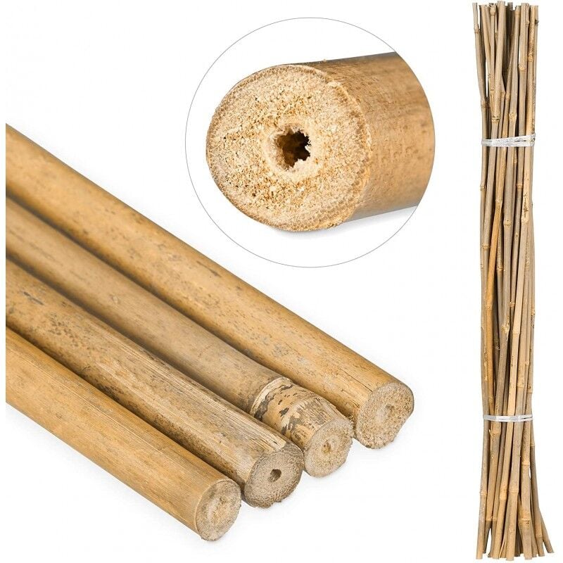 foto del prodotto set di 50 tutori in bamb per piante 100 cm 8 10 mm canne di bamb , supporti per ortaggi, pomodori, alberi e giardinaggio