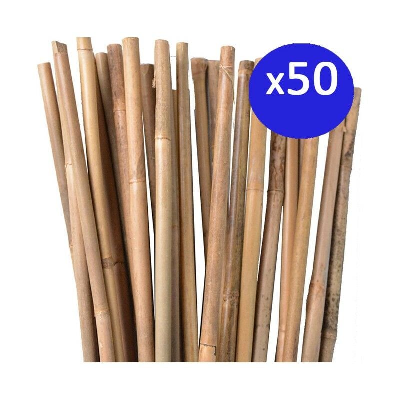 foto del prodotto set di 50 tutori in bamb per piante 120 cm 8 10 mm canne di bamb , supporti per ortaggi, pomodori, alberi e giardinaggio