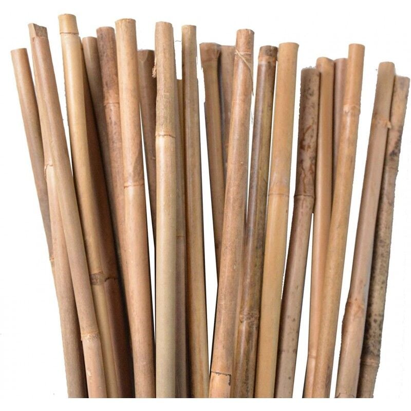 foto del prodotto set di 50 tutori in bamb per piante 200 cm 10 12 mm canne di bamb , supporti per ortaggi, pomodori, alberi e giardinaggio