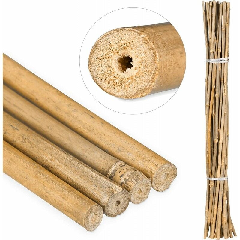 foto del prodotto set di 50 tutori in bamb per piante 90 cm 6 8 mm canne di bamb , supporti per ortaggi, pomodori, alberi e giardinaggio