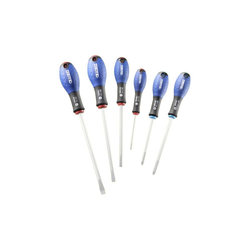 foto del prodotto set di 6 cacciaviti slot pozidriv expert di facom e160903