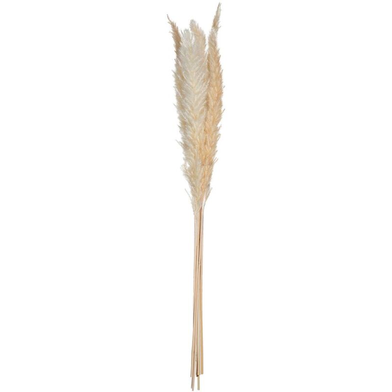 foto del prodotto set di 6 fiori secchi natural pampa atmosphera cr ateur d int rieur