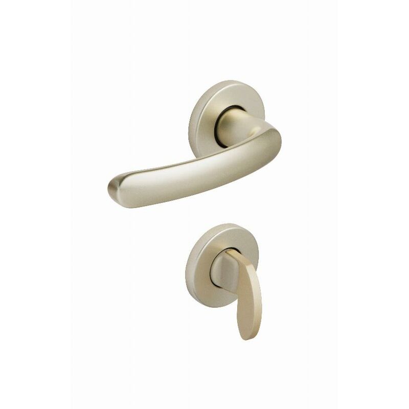 foto del prodotto set di rose 6600 budget bezault condemnation champagne 204870
