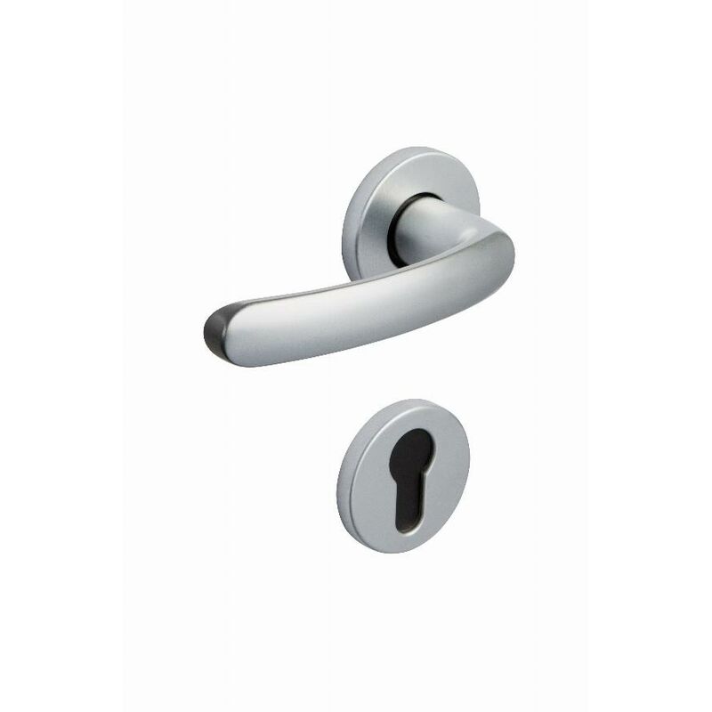 foto del prodotto set di rose 6600 budget bezault key i argento 204865