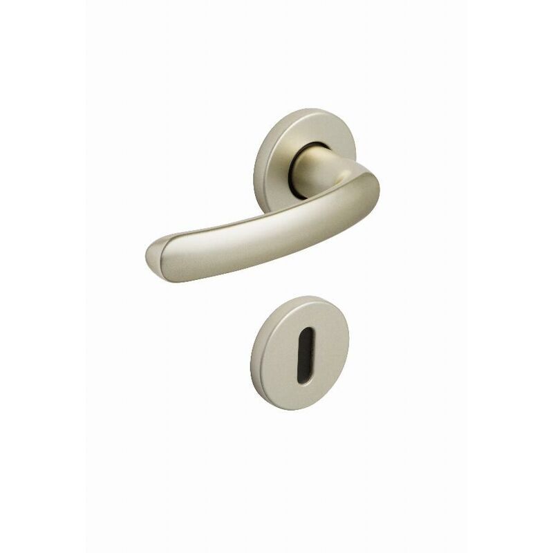 foto del prodotto set di rose 6600 budget bezault key l champagne 204868