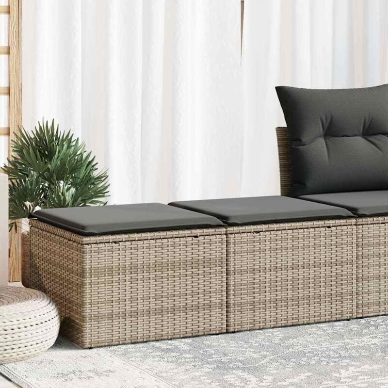 foto del prodotto set divano giardino 2 pz con cuscini grigio polyrattan acacia vidaxl