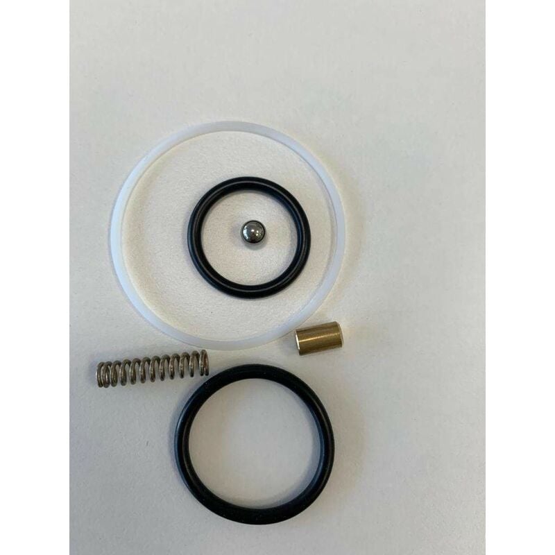 foto del prodotto set guarnizioni con molla per miscelatori cucina paffoni zset072 sacchettino