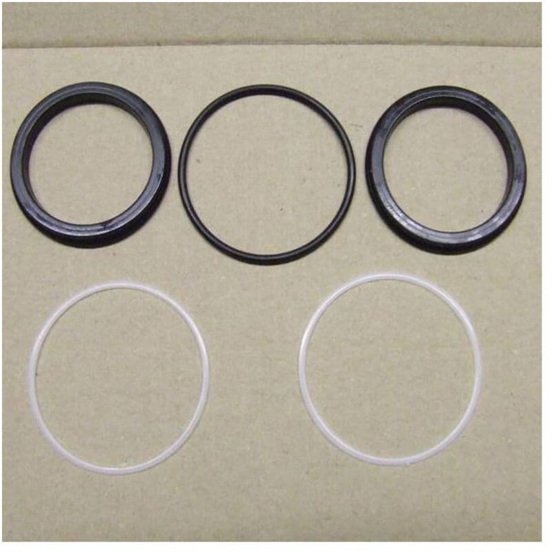 foto del prodotto set guarnizioni o ring anello hostaform ricambi paini 25cc573gu