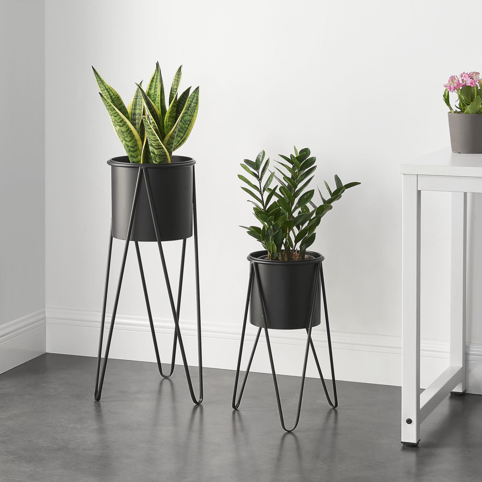foto del prodotto set hedera di 2 supporti per piante con coprivaso in metallo nero en.casa 