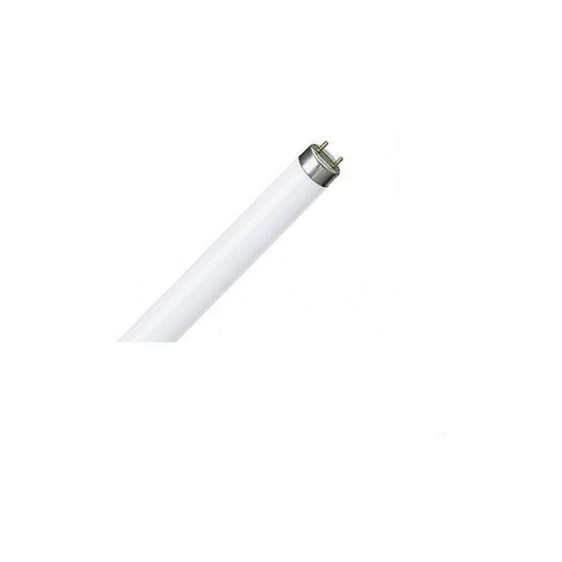 foto del prodotto set lampada neon fluorescente t8 std 36w g13 luce naturale 4000k