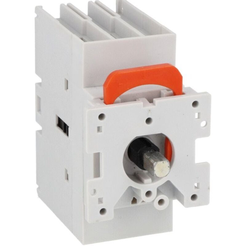 foto del prodotto sezionatore lovato tripolare montaggio su portella 40a ga040c
