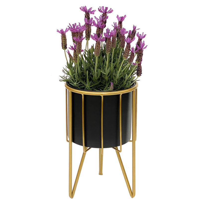 foto del prodotto sgabello per fiori con vaso in metallo oro nero rotondo s 32 cm supporto per fiori 96039 colonna per fiori supporto per piante moderno sgabello per