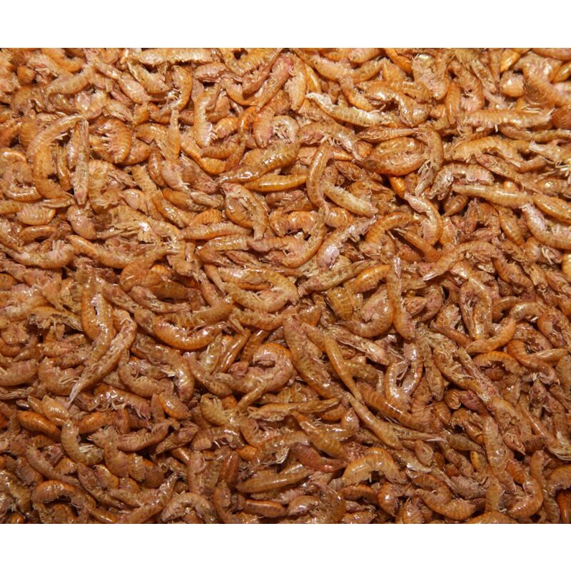 foto del prodotto shrimps 4,5 litri mangime per koi e pesci da laghetto