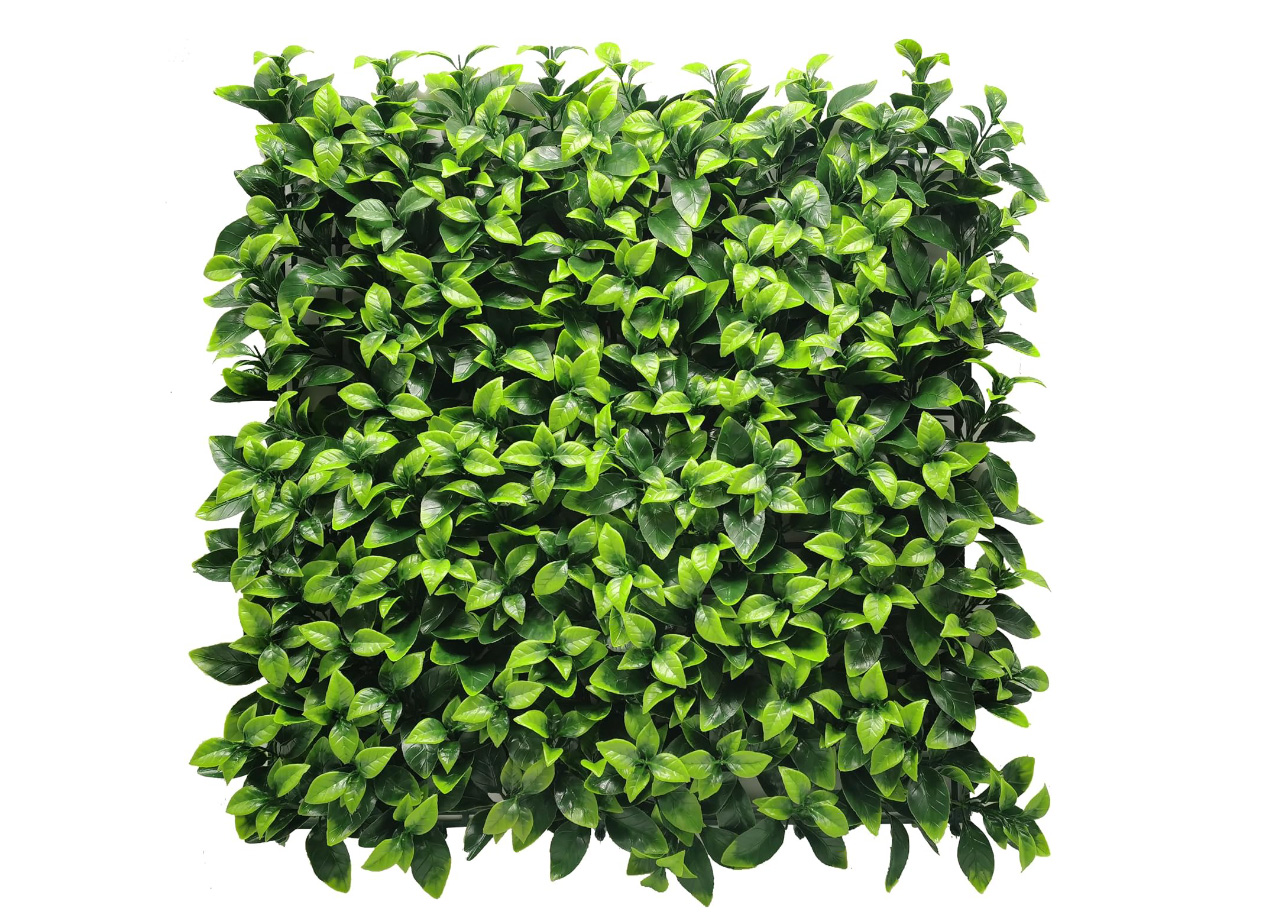 foto del prodotto siepe artificiale a parete decorazione interni design modello diva - 100x100 - diva