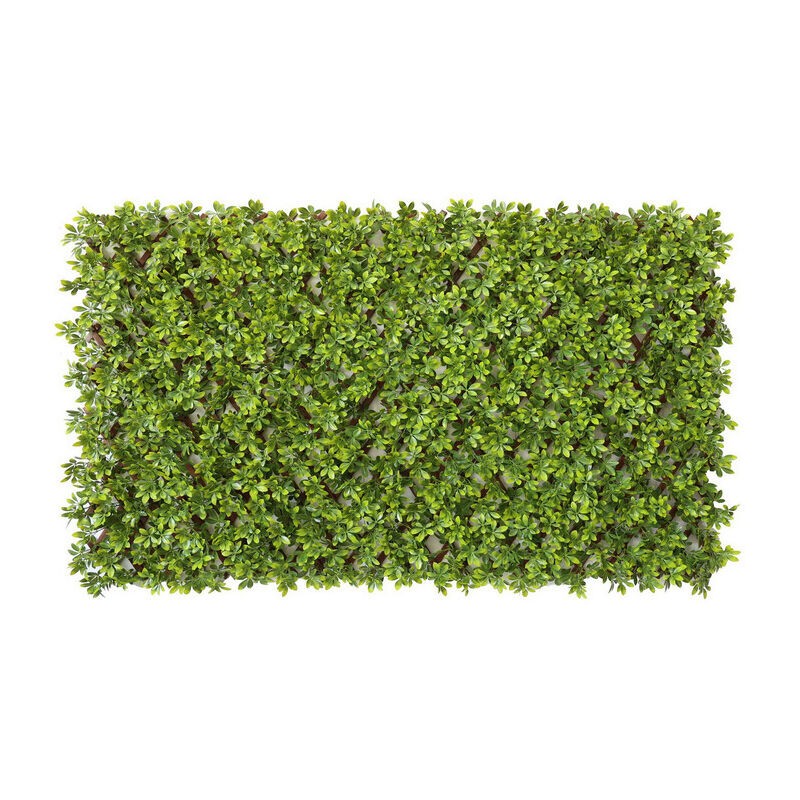 foto del prodotto siepe artificiale pannello 100x200 cm. bosso