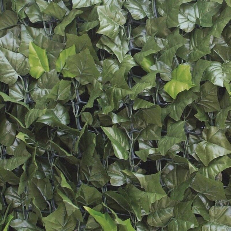 foto del prodotto siepe artificiale pannello sempreverde edera mt 3 x 1 h