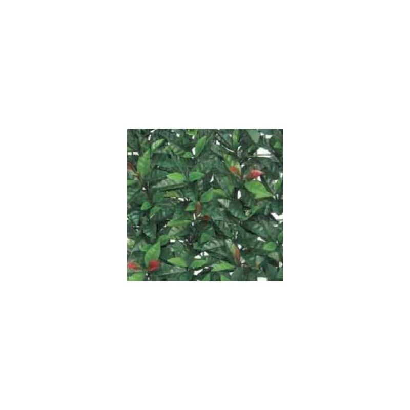 foto del prodotto siepe artificiale photinia 100x100cm effetto realistico