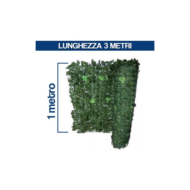 foto del prodotto siepe evergreen 1x3 edera