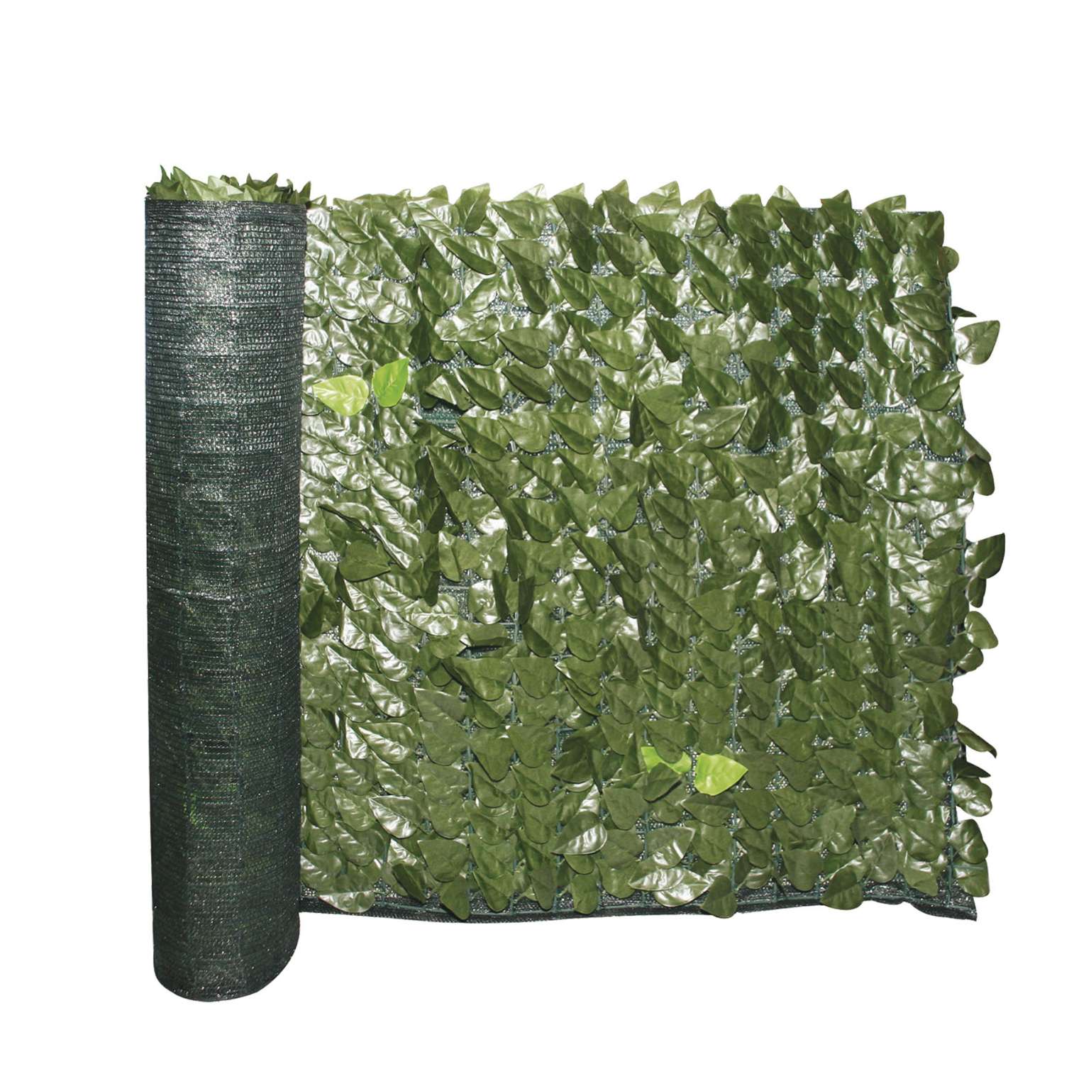 foto del prodotto siepe evergreen lauro 1x3