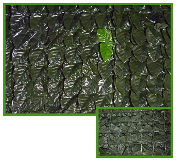 foto del prodotto siepe ornamentale lauro mt. 3x1,5 h