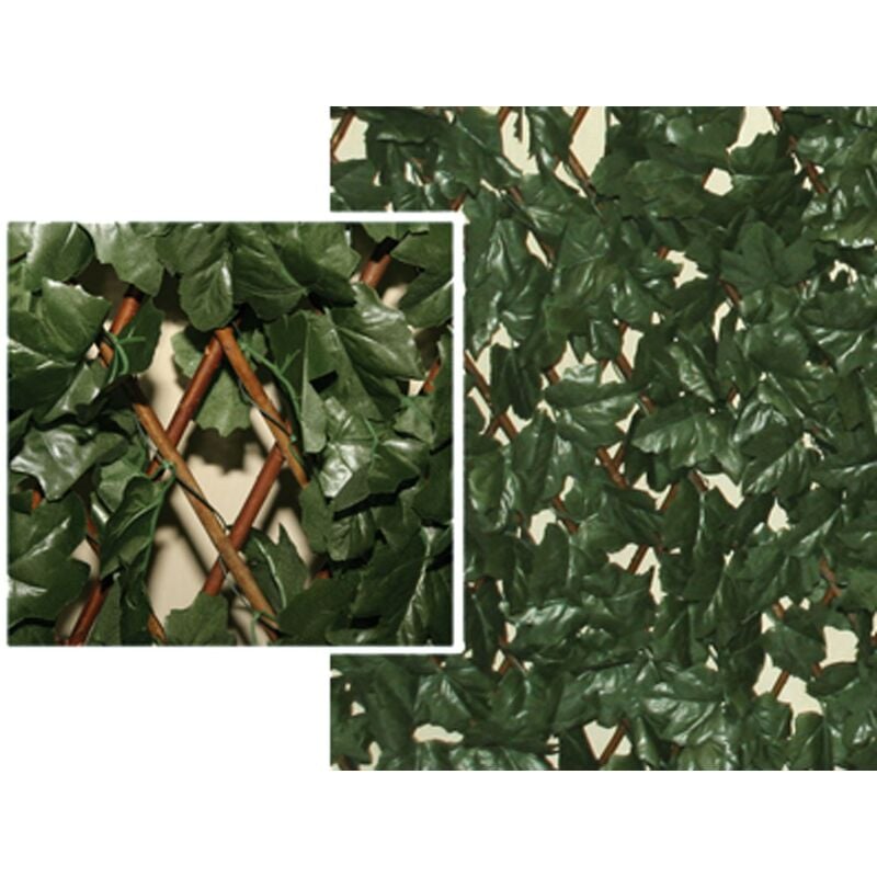 foto del prodotto siepe panel green brixo alloro 100x200cm