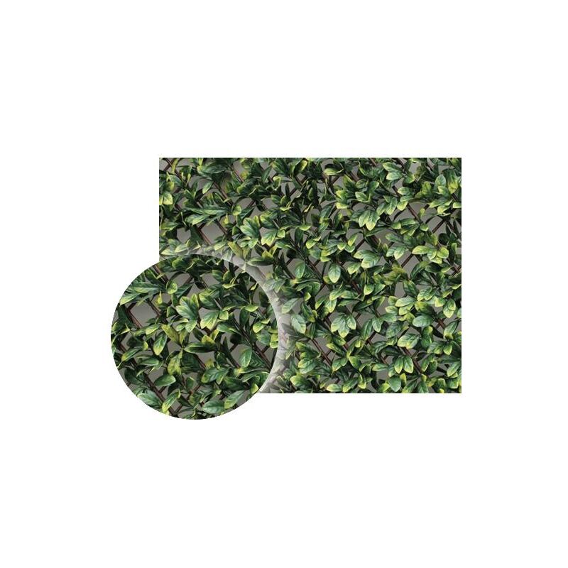 foto del prodotto siepe panelgreen brixo trellis100x200cm