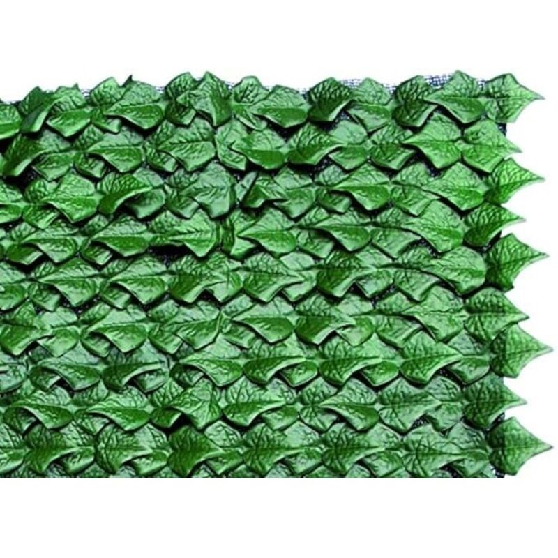 foto del prodotto siepe sempreverde edera c ombreggio 1x3 mt blinky
