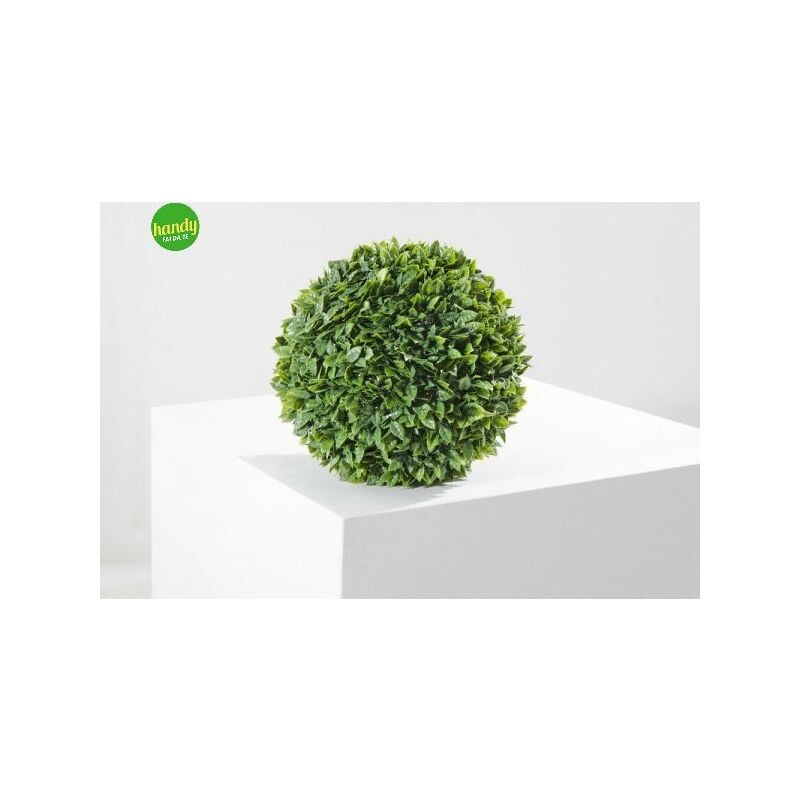 foto del prodotto siepe sempreverde verdelook camargue 30 cm