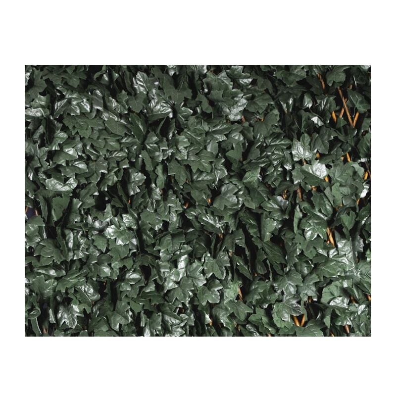 foto del prodotto siepe sintetica traliccio estensibile in legno con foglie 'salisbury' 2x1mt