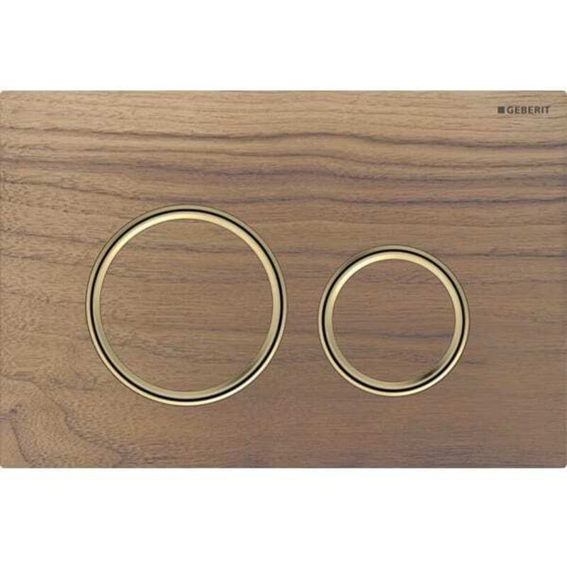 foto del prodotto sigma21 plaques de d clenchement, pour rin age 2 geberit