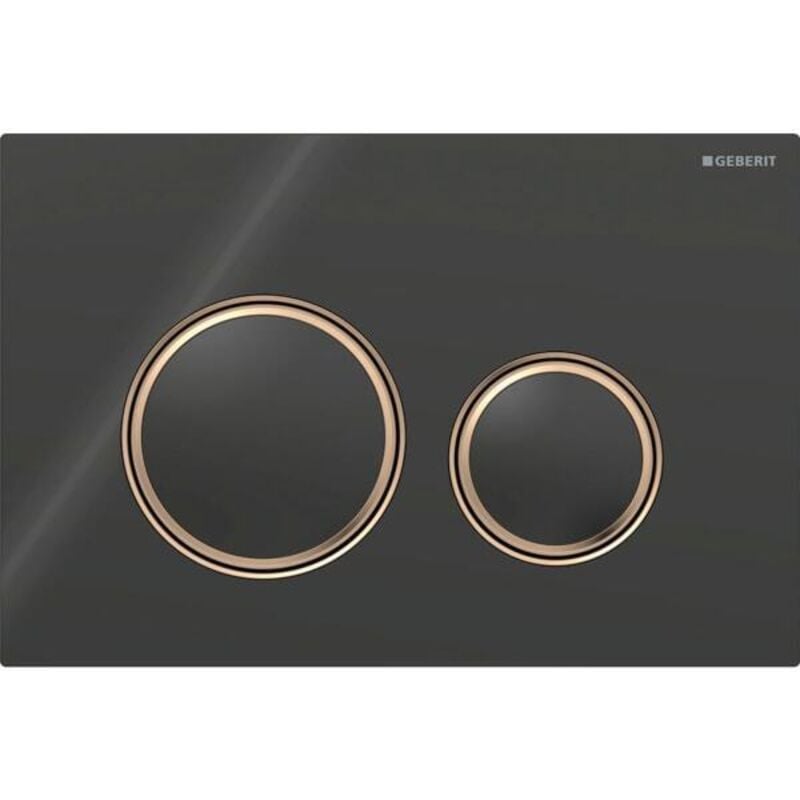 foto del prodotto sigma21 plaques de d clenchement pour rin age 2 geberit