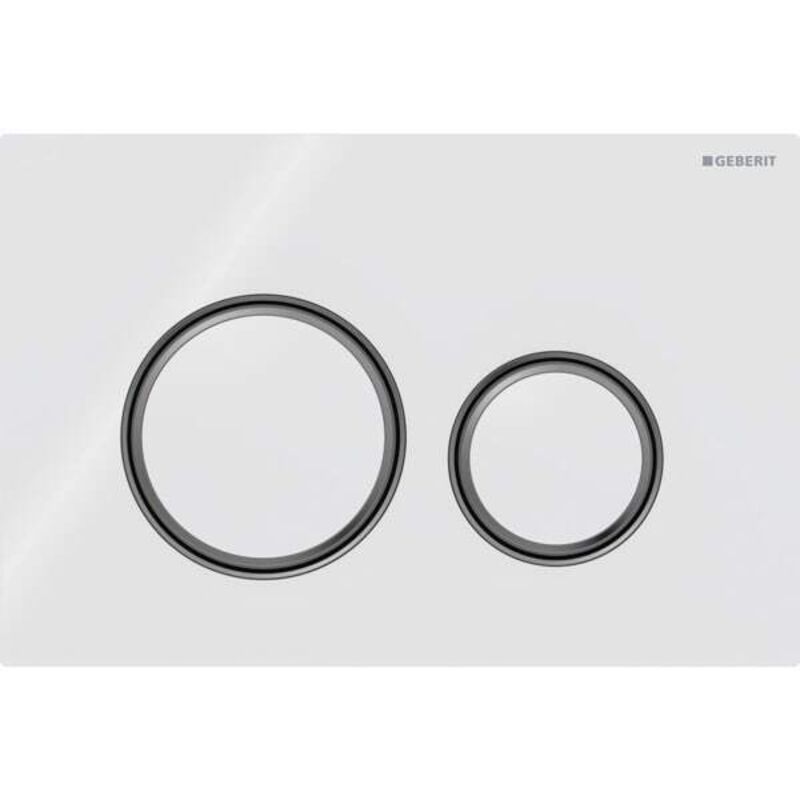 foto del prodotto sigma21 plaques de d clenchement, pour rin age 2 geberit