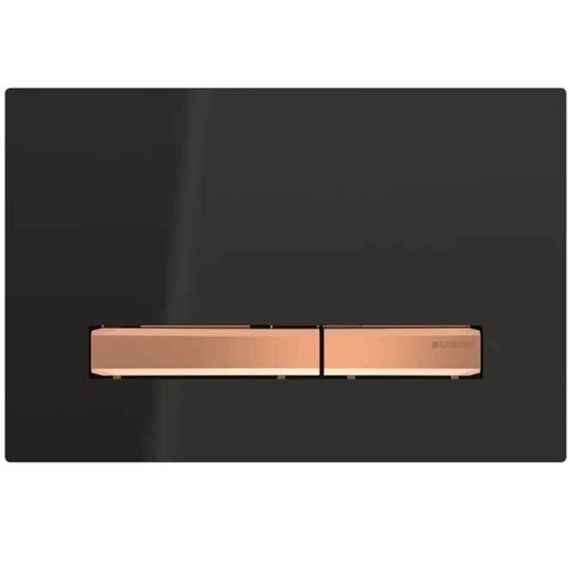 foto del prodotto sigma50 plaques de d clenchement pour rin age à 2 - geberit