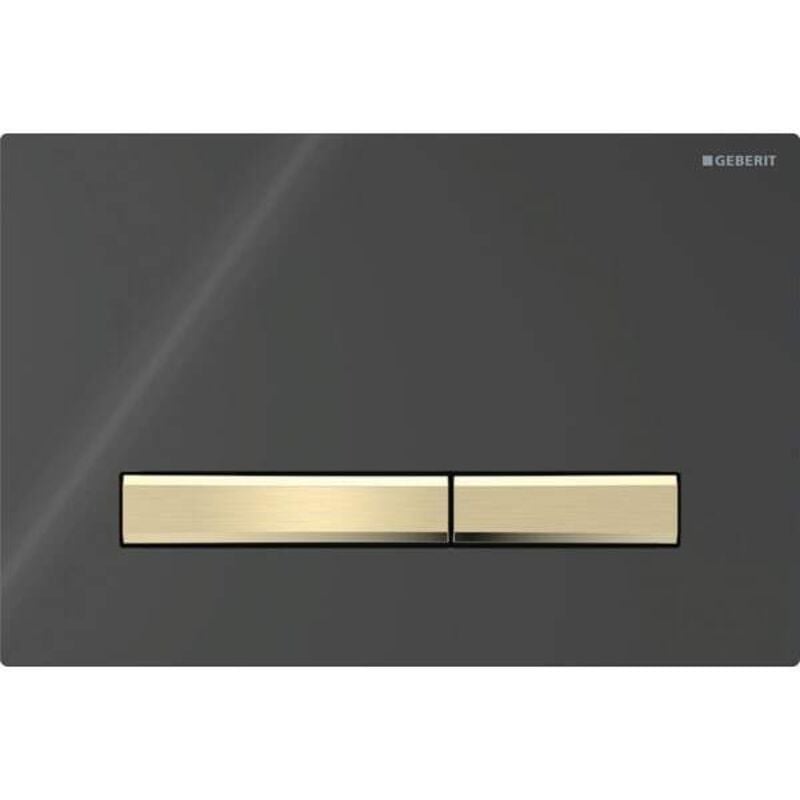 foto del prodotto sigma50 plaques de d clenchement, pour rin age 2 geberit