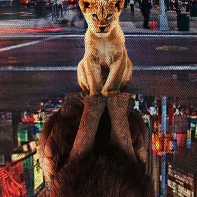 foto del prodotto signorbit - da grande - quadro canvas contemporaneo su telaio in legno - misura: 100x140 cm