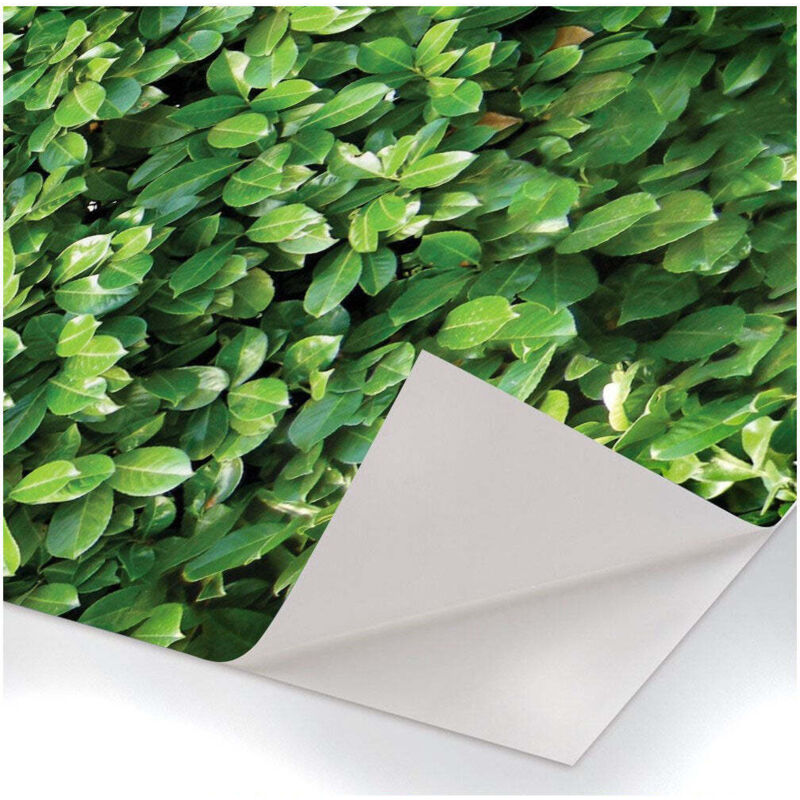 foto del prodotto signorbit - siepe - pellicola stampata adesiva in pvc finitura opaca - misura: 100x200 cm
