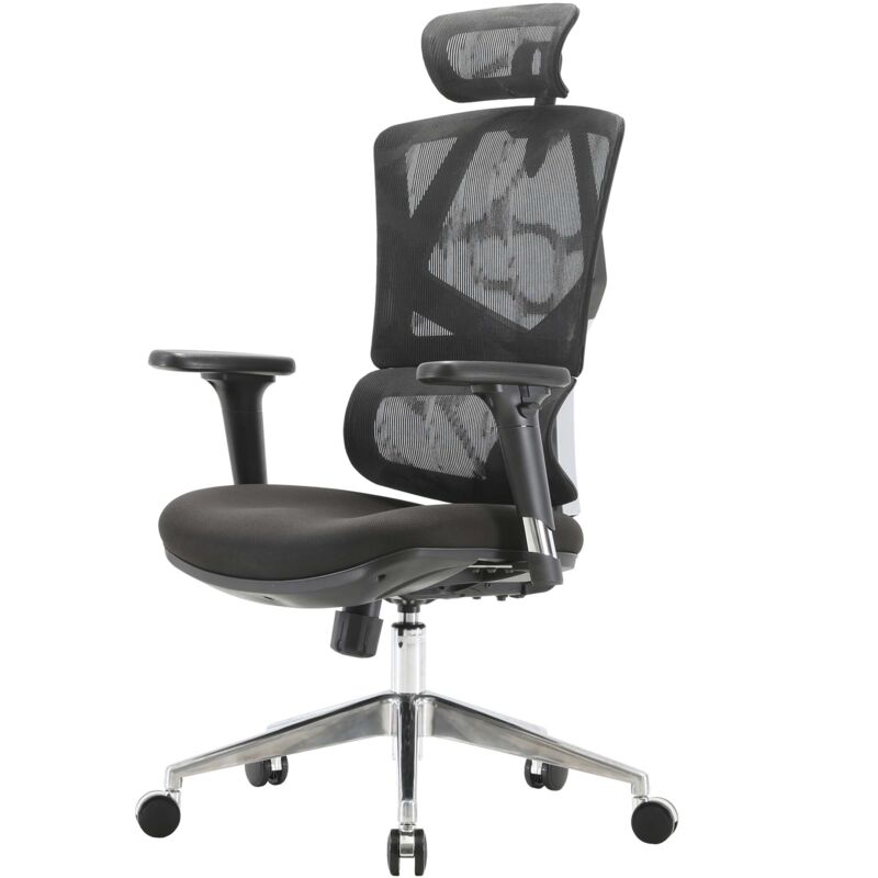 foto del prodotto sihoo poltrona ufficio ergonomica supporto lombare schienale alto braccioli 3d tessuto nero